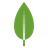 MongoDB